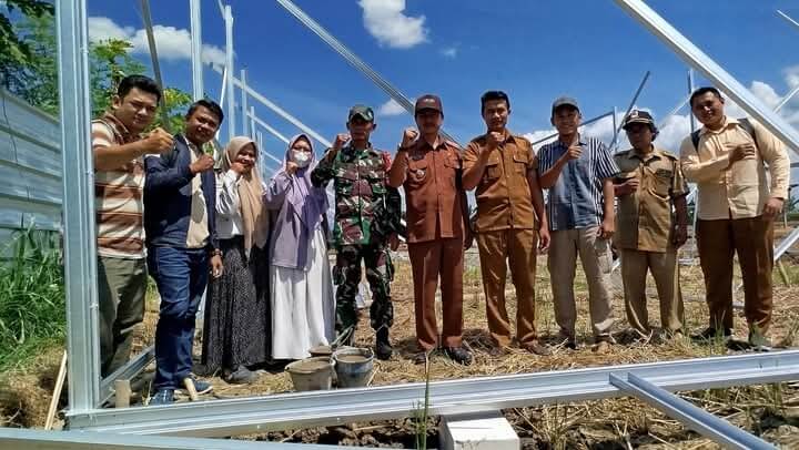 Sukseskan Ketahanan Pangan, BUMDes Kalimakar Fokus Budidaya Ternak Ayam dan Buah Anggur