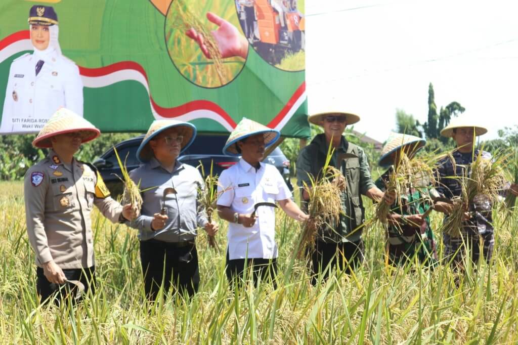 Ketua DPRD Kota Cirebon Hadiri Panen Raya Serentak, Apresiasi Komitmen Presiden Prabowo terhadap Ketahanan Pangan Ketua DPRD Kota Cirebon Hadiri Panen Raya Serentak, Apresiasi Komitmen Presiden Prabowo terhadap Ketahanan Pangan