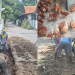 Gembongan Bangkit: Dana Desa Dorong Infrastruktur dan Ekonomi Warga