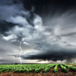 Ilustrasi cuaca ekstrem -Shutterstock-