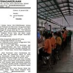 Disnaker Cirebon Sebarkan Informasi Lowongan 659 Pekerjaan di PT. Longrich dan Taekwang