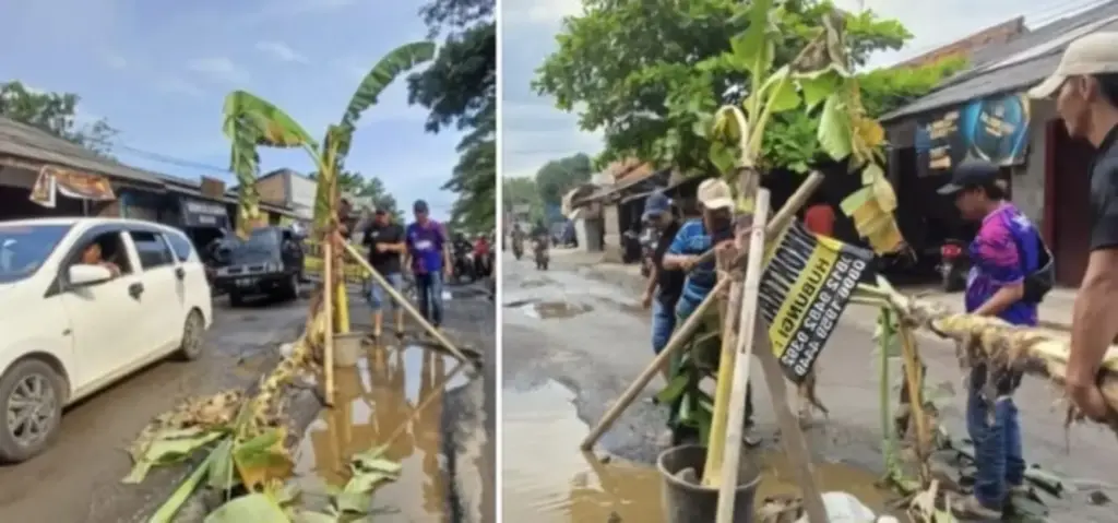 Pohon Pisang Tumbuh di Aspal Kanci–Sindanglaut, Jadi Simbol Putus Asa Warga Jalan rusak kanci cirebon