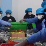 ilustrasi SPPG foto antara.jpg