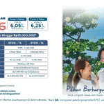 Program ST016 bank bjb