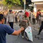 Demo lempar ular di indramayu