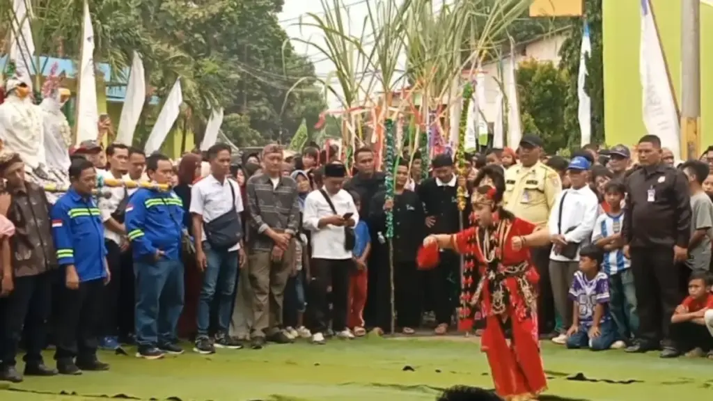 \"kawin tebu\" di PG Sindanglaut, Cirebon
