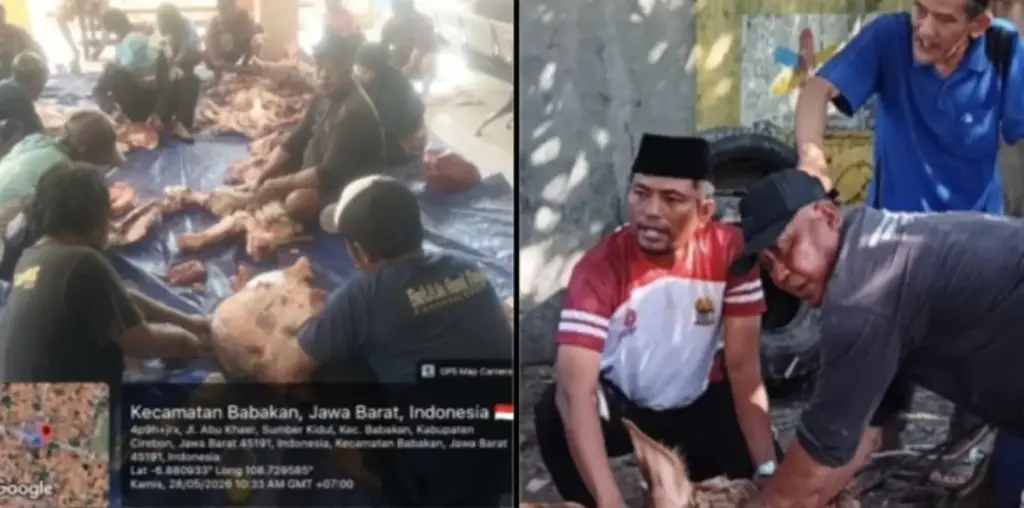 Idul adha