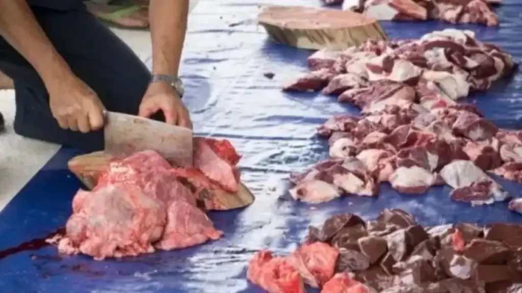 Artikel daging kurban