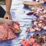 Artikel daging kurban