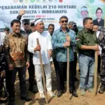Dorong Swasembada Pangan, Gubernur Jabar Ajak Petani Rotasi Tanaman dan Manfaatkan Sistem Tumpang Sari Swasembada pangan Jawa barat