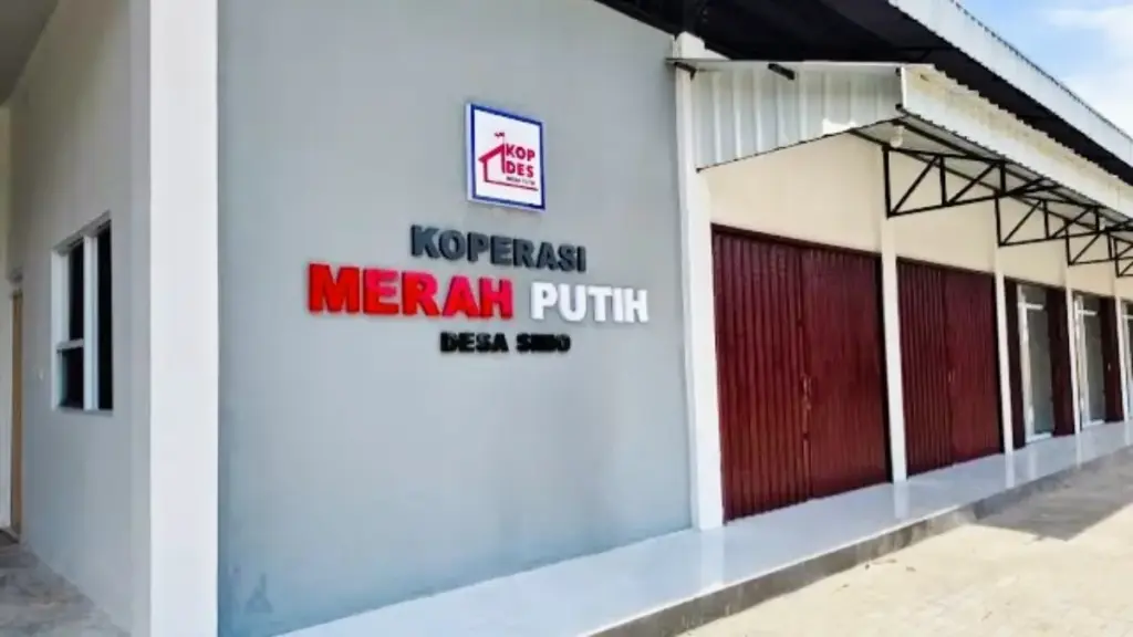 DD berkurang dampak dari KDMP