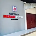 DD berkurang dampak dari KDMP