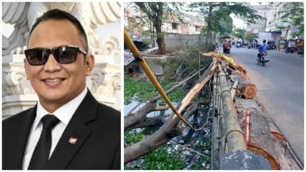 Pohon tumbang proyek sungai Sukalila timpa pemotor