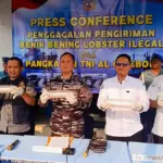 Gagalkan Penyelundupan, Lanal Cirebon Amankan 75.435 Benih Lobster Senilai Miliaran Rupiah