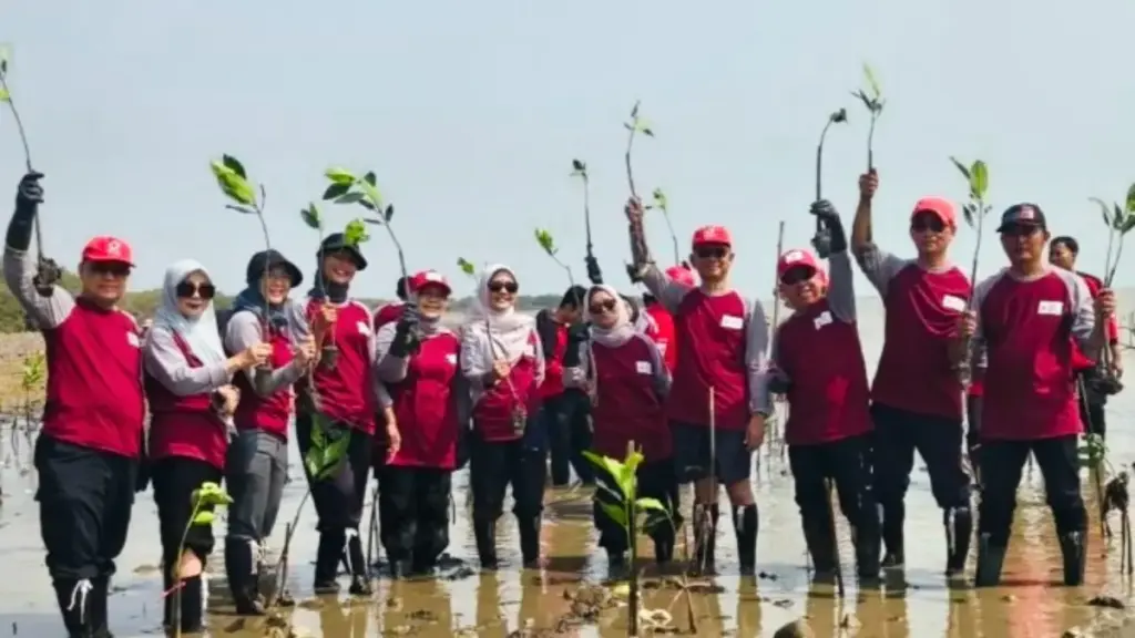 Peringati HUT ke-81, Ketua PMI Cirebon Dorong Pelestarian Ekosistem Pesisir Lewat Aksi Hijau Peringati HUT ke-81, Ketua PMI Cirebon Dorong Pelestarian Ekosistem Pesisir Lewat Aksi Hijau